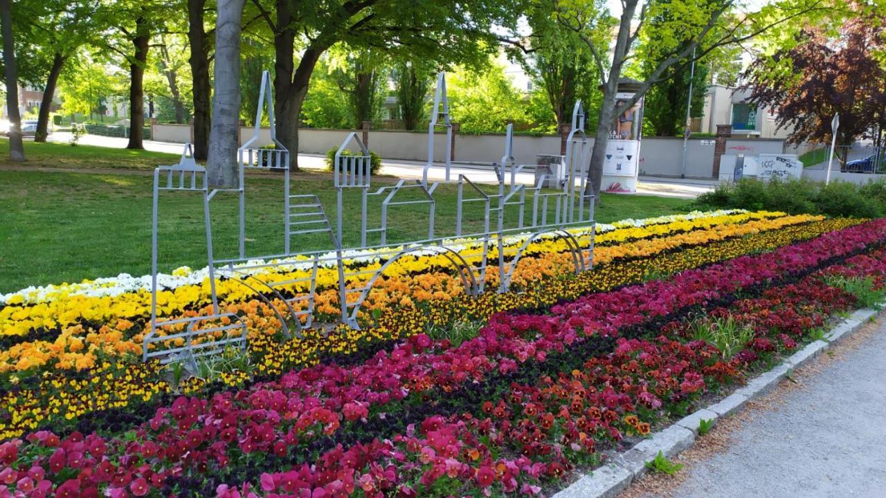 Alte Baeckerei Bautzen - 00 #Kids# Im Zentrum, Mit Parkplatz, Top Ausgestattet Экстерьер фото